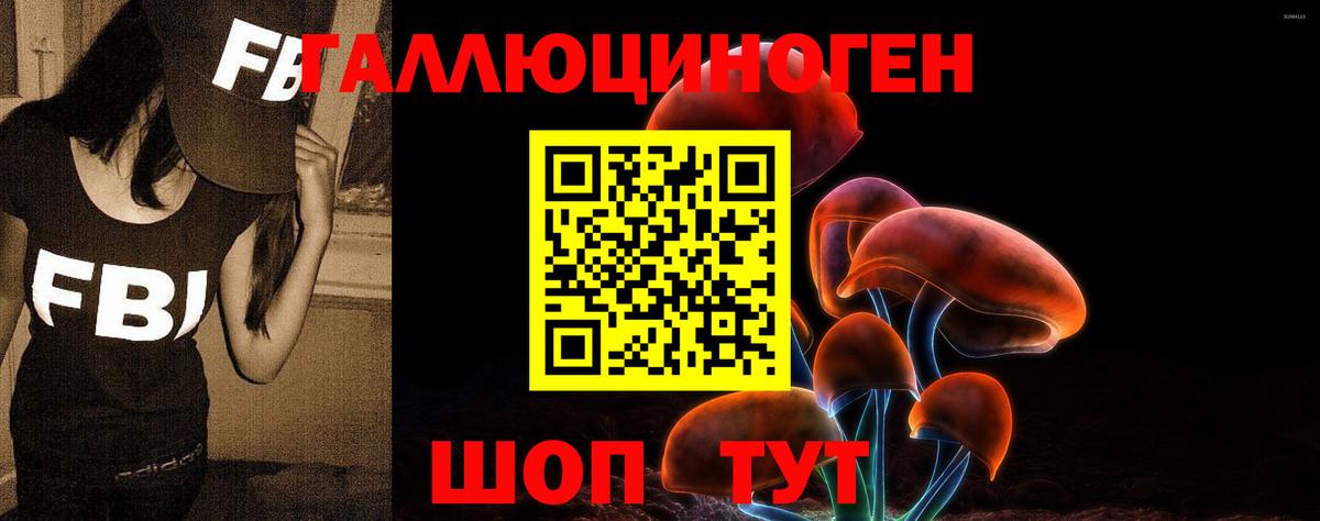 Псилоцибиновые грибы мухоморы Саратов