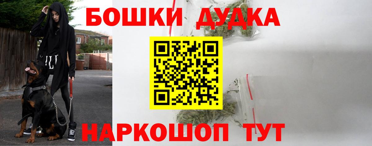 Каннабис планчик  Каннабис семена  Саратов  Конопля LSD WEED  Вход с VPN  Канабис Amnesia 